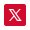 X (formerly Twitter) icon